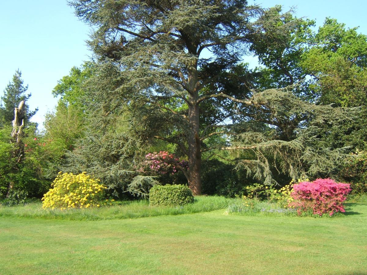 Hollybank House Bed & Breakfast Emsworth Exterior photo